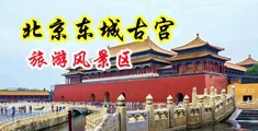 骚逼被艹网站中国北京-东城古宫旅游风景区